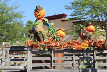 dlp-2016-pre-halloween-10