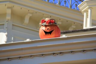dlp-2016-pre-halloween-101