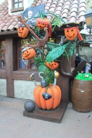 dlp-2016-pre-halloween-106