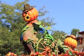 dlp-2016-pre-halloween-11