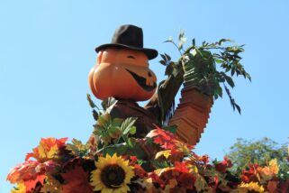 dlp-2016-pre-halloween-15