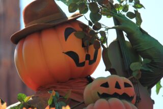 dlp-2016-pre-halloween-16