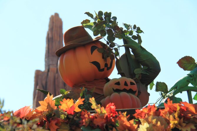 dlp-2016-pre-halloween-18