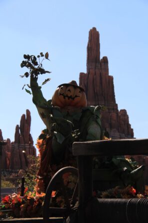 dlp-2016-pre-halloween-19