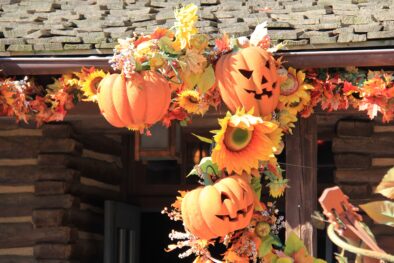 dlp-2016-pre-halloween-20