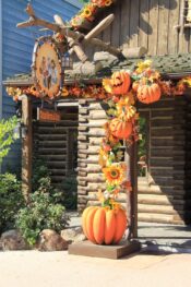 dlp-2016-pre-halloween-21