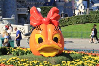 dlp-2016-pre-halloween-34