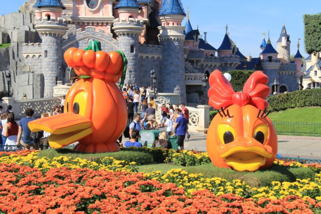 dlp-2016-pre-halloween-35