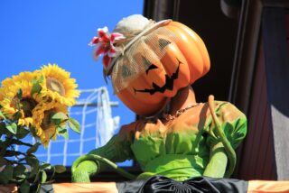 dlp-2016-pre-halloween-4