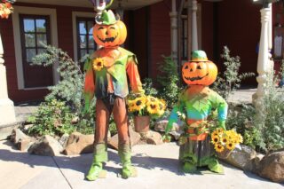 dlp-2016-pre-halloween-5