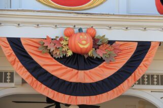 dlp-2016-pre-halloween-53