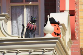 dlp-2016-pre-halloween-60