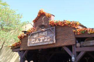 dlp-2016-pre-halloween-7