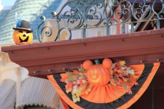 dlp-2016-pre-halloween-75