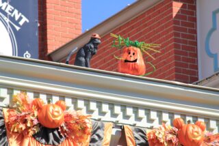 dlp-2016-pre-halloween-76