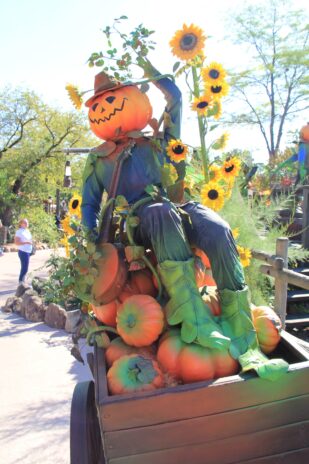 dlp-2016-pre-halloween-9