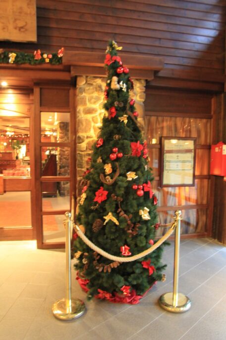 Sequoia Lodge Indoor Decorations