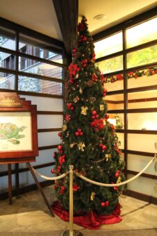 Sequoia Lodge Indoor Decorations