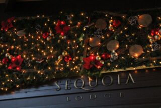 Sequoia Lodge Indoor Decorations