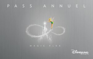 DLP Pass Annuel Magic Flex