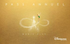 DLP Pass Annuel Magic Plus