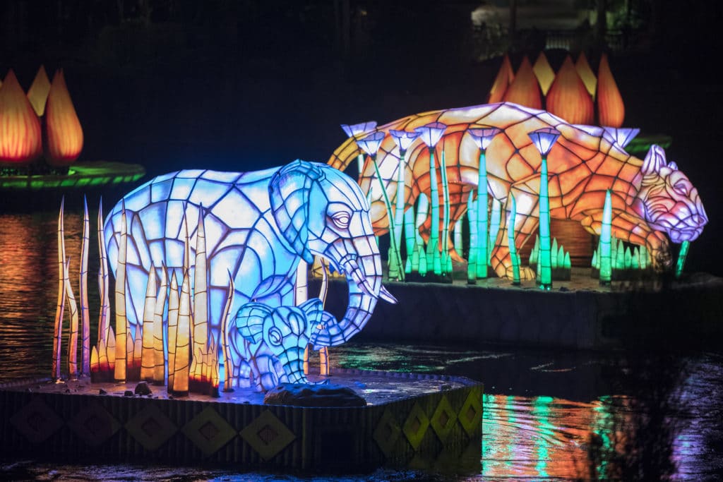 Rivers of Light at Disney's Animal Kingdom