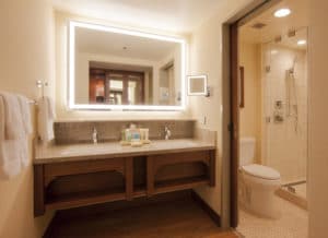 DLR Disney's Grand Californian Hotel & Spa 2017