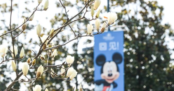Shanghai Disney Resort First Spring Season