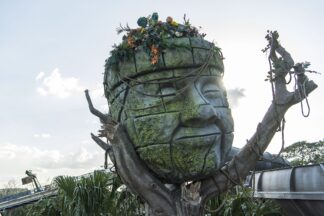 Miss Adventure Falls at Disney's Typhoon Lagoon