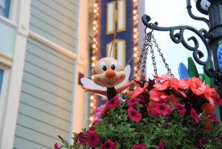 IMG_6327.JPG