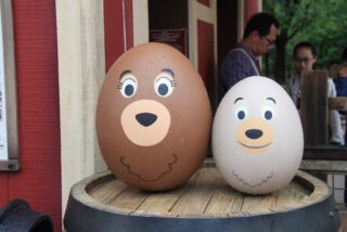 Hong Kong Disneyland - Photo Summary