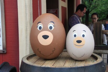Hong Kong Disneyland - Photo Summary