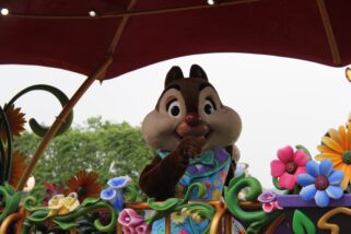 IMG_8156
