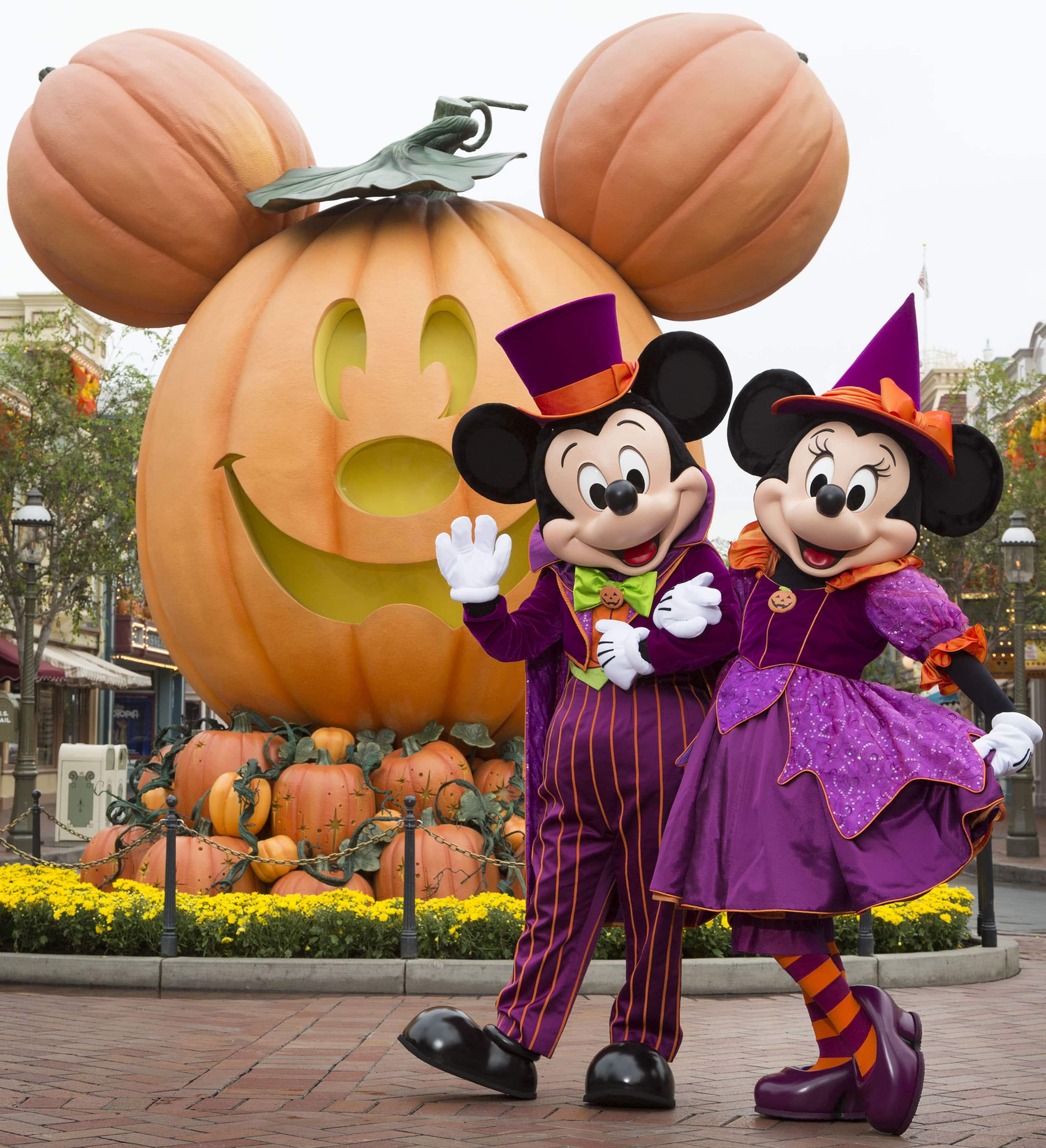  Halloween  time at Disneyland  Resort Travel to the Magic