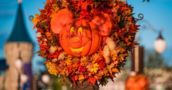 WonderFALL Experiences at Walt Disney World Resort