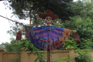 Disneyland Paris - Halloween 2017 - Dia de los Muertos - Coco (20)