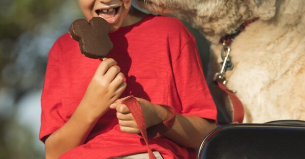 Dogs Welcome at Select Walt Disney World Hotels