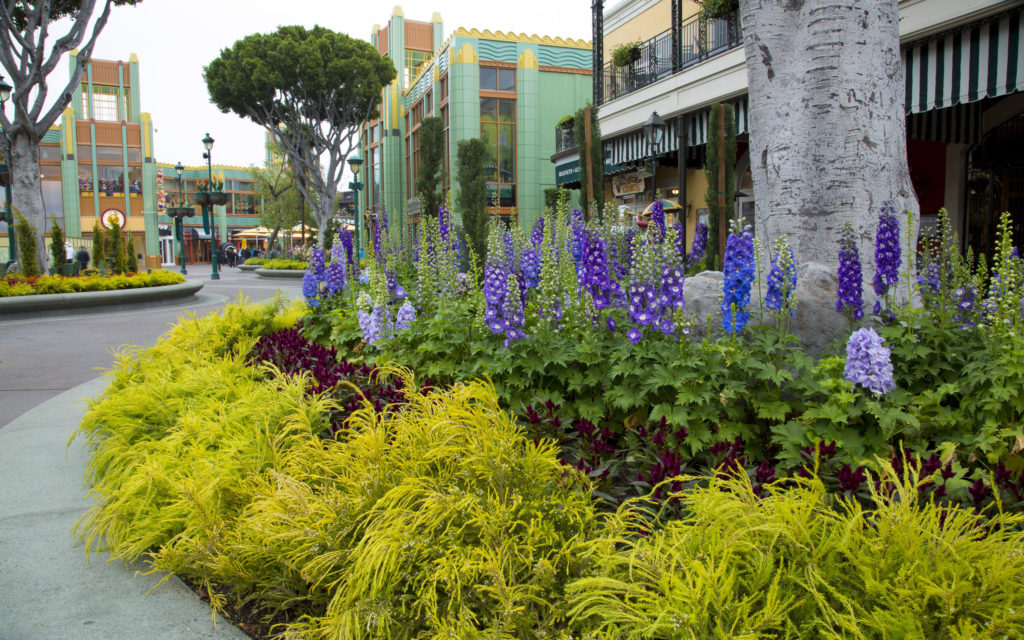 Disneyland Resort - Downtown Disney (2)