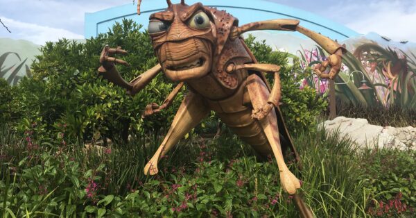 Disney California Adventure - A Bug's Land