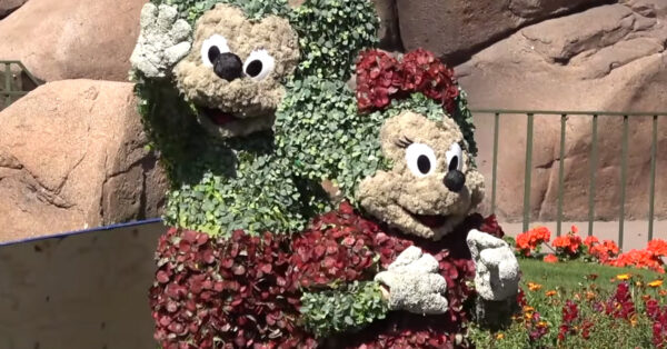 Walt Disney World Resort - Epcot - Mickey Minnie Living Topiaries