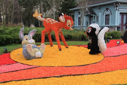Disneyland Paris - Pirates Princesses Festival - Bambi
