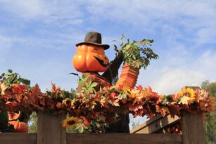 Disneyland Paris - Halloween Decorations 2018