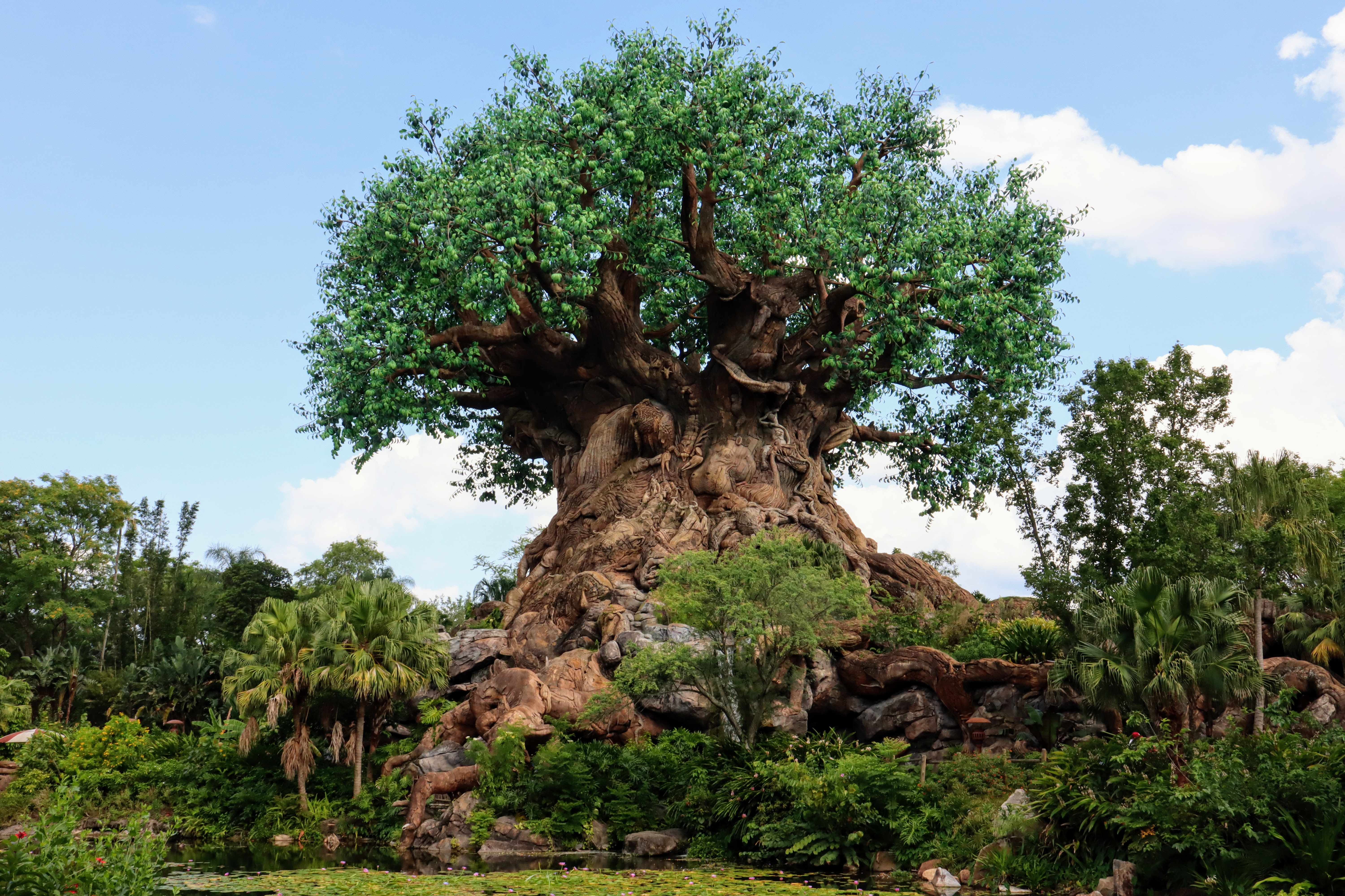 Once Upon a Date: April 22, 1998 - Animal Kingdom opens at Walt Disney World  - Travel to the Magic
